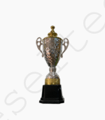 Trophée Argenté pour Compétition Modèle 49CM – Image 3