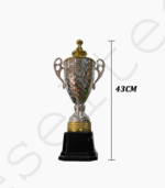 Trophée Argenté pour Compétition Modèle 43CM