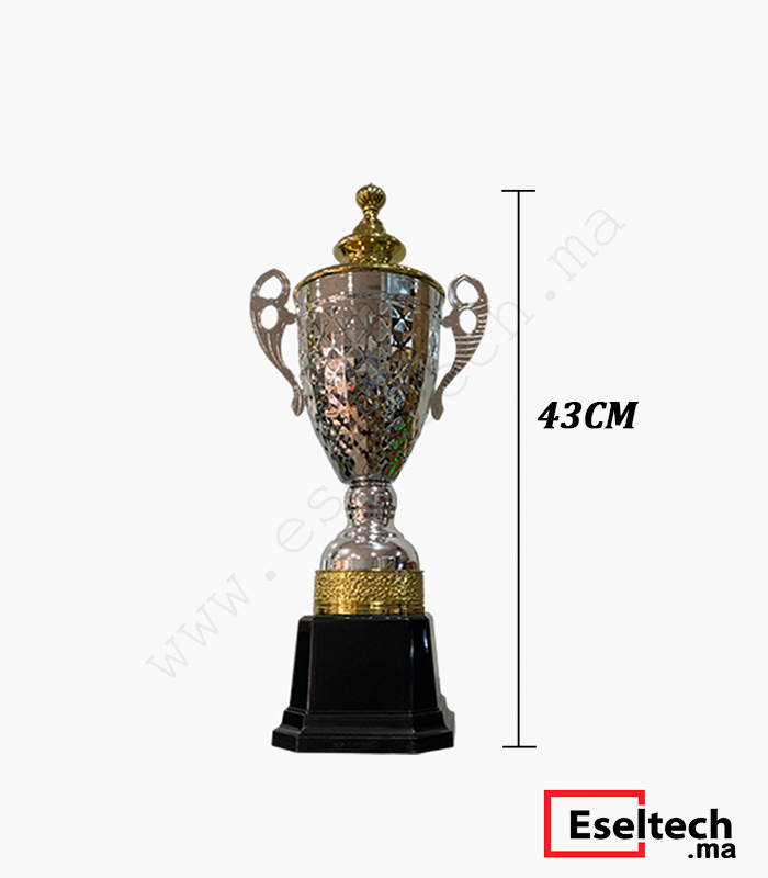 Pack Trophée Argenté 42cm (2) Trophée Argenté pour Compétition Modèle 43CM – Image 1