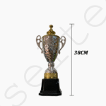 Trophée Argenté pour Compétition Modèle 38CM