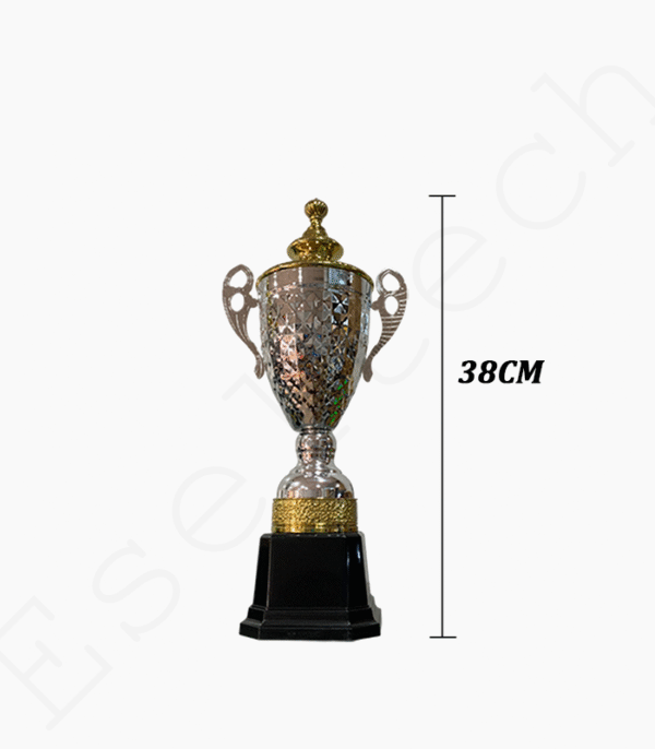 Trophée Argenté pour Compétition Modèle 38CM