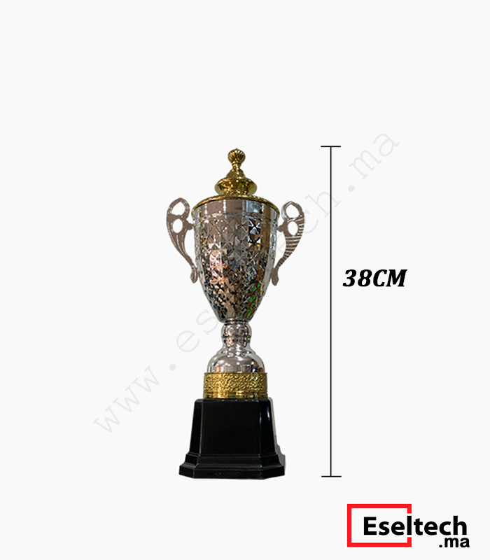 Pack Trophée Argenté pour Compétition - 38cm (2) Trophée Argenté pour Compétition Modèle 38CM – Image 1
