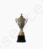 Trophée Argenté pour Compétition Modèle 38CM – Image 2