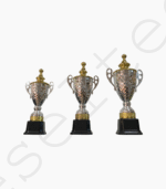 Pack Trophée Argenté pour Compétition - 3 Modèles (38 à 49cm)