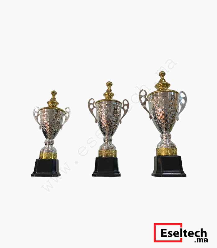 Trophée Argenté pour Compétition - 3 Modèles (38 à 49cm) (3) Pack Trophée Argenté pour Compétition - 3 Modèles (38 à 49cm) – Image 1